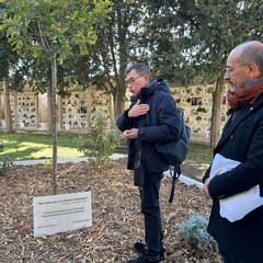 L'Albero della Memoria al cimitero di Andria