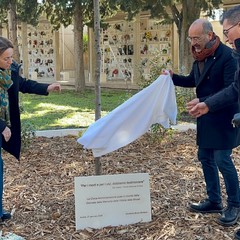 L'Albero della Memoria al cimitero di Andria