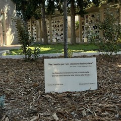 L'Albero della Memoria al cimitero di Andria