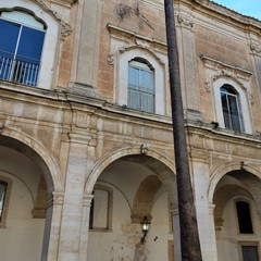 Alberi piantati al posto sbagliato: nel chiostro dell'ex monastero dei Benedettini