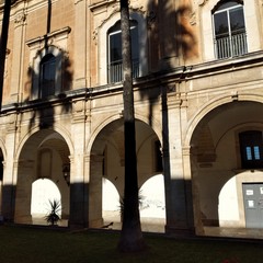 Alberi piantati al posto sbagliato: nel chiostro dell'ex monastero dei Benedettini