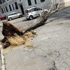 Cade grosso alianto in via Achille Grandi: sfiorata tragedia