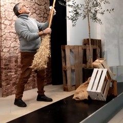 La compagnia teatrale S. Andrea apostolo