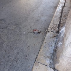 Guano nauseabondo sotto l'arco di Porta sant'Andrea