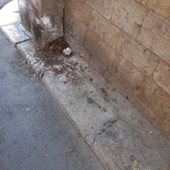 Guano nauseabondo sotto l'arco di Porta sant'Andrea