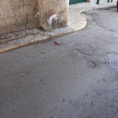 Guano nauseabondo sotto l'arco di Porta sant'Andrea