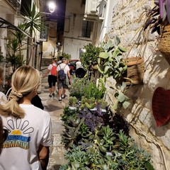 "Camminiamo insieme nella città di Andria"