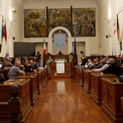 andria matera