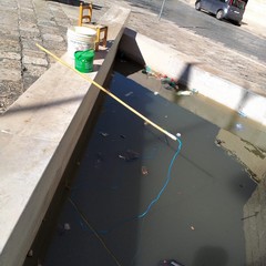 Andria Pescatore per un giorno