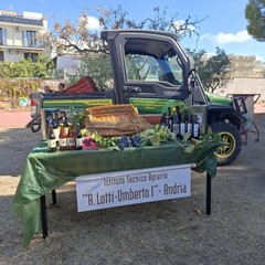 L’Istituto "Jannuzzi - Di Donna" di Andria trasforma il giardino della scuola in una festa d’autunno