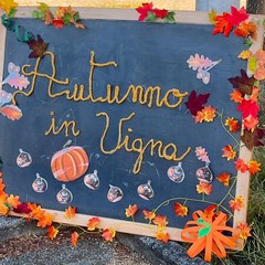 L’Istituto "Jannuzzi - Di Donna" di Andria trasforma il giardino della scuola in una festa d’autunno