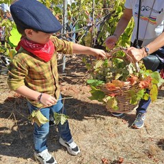 L’Istituto "Jannuzzi - Di Donna" di Andria trasforma il giardino della scuola in una festa d’autunno