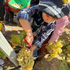 L’Istituto "Jannuzzi - Di Donna" di Andria trasforma il giardino della scuola in una festa d’autunno