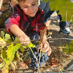 L’Istituto "Jannuzzi - Di Donna" di Andria trasforma il giardino della scuola in una festa d’autunno
