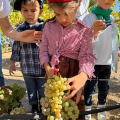 L’Istituto "Jannuzzi - Di Donna" di Andria trasforma il giardino della scuola in una festa d’autunno