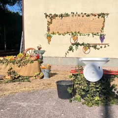 L’Istituto "Jannuzzi - Di Donna" di Andria trasforma il giardino della scuola in una festa d’autunno