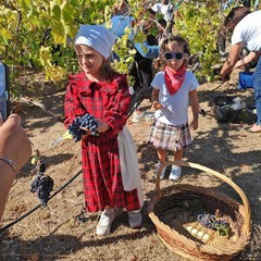 L’Istituto "Jannuzzi - Di Donna" di Andria trasforma il giardino della scuola in una festa d’autunno