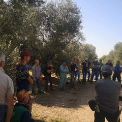assemblea andria ottobre