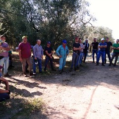 assemblea andria ottobre