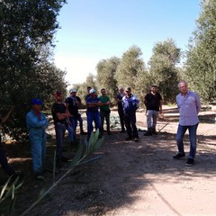 assemblea andria ottobre