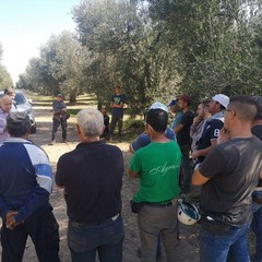 assemblea andria ottobre