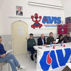 Avis Andria