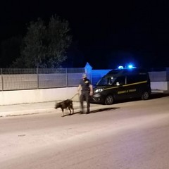 controlli della Guardia di Finanza
