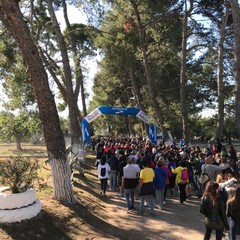 3^ edizione de "La Camminata tra gli olivi"