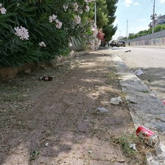 incuria e degrado in via Giotto