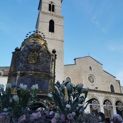 Processione di San Riccardo e della Madonna dei Miracoli, edizione 2023
