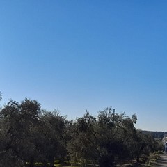 Traffico in tilt sull'Andria Canosa di Puglia causa il protrarsi dei lavori in corso