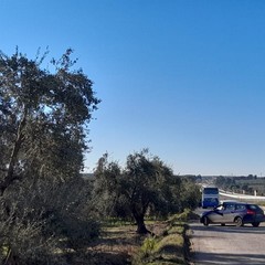Traffico in tilt sull'Andria Canosa di Puglia causa il protrarsi dei lavori in corso