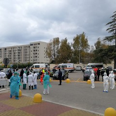 resi gli onori al personale sanitario della Asl Bt
