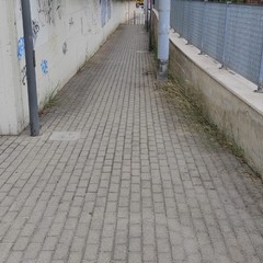 ripulite via Sofia e via Gorizia