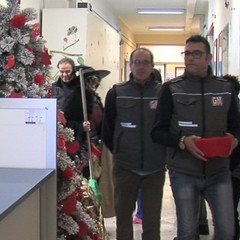 befana bonomo