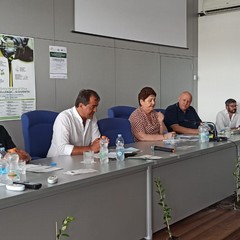 Gli olivicoltori incontrano il Ministro Teresa Bellanova