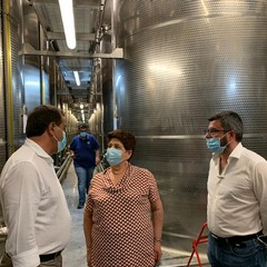 Gli olivicoltori incontrano il Ministro Teresa Bellanova