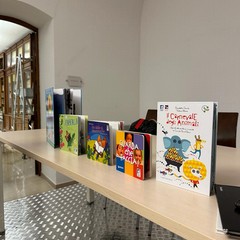 biblioteca comunale