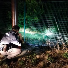 Tentativo di furto in un campo fotovoltaico tra i territori di Andria e Barletta