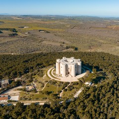 Bosco Castel del Monte Ph Antonio Chiarella edit