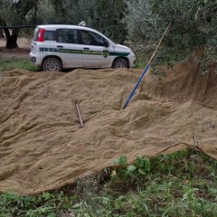 Guardie Campestri di Andria