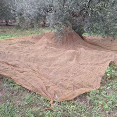 Guardie Campestri di Andria