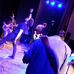 BRAUNS DSF