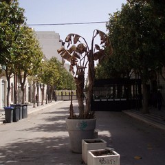 C so Cavour JPG