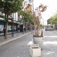 C so Cavour JPG