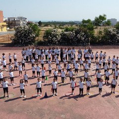 3° Circolo didattico "Riccardo Cotugno"