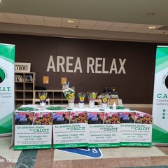 calcit ipercoop andria