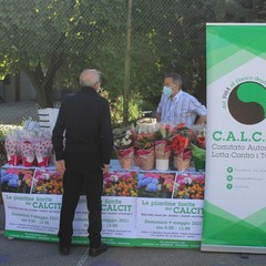 calcit piantine scuola vittorio emanuele III