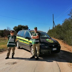 7^ edizione della Camminata tra gli Olivi