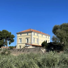 7^ edizione della Camminata tra gli Olivi